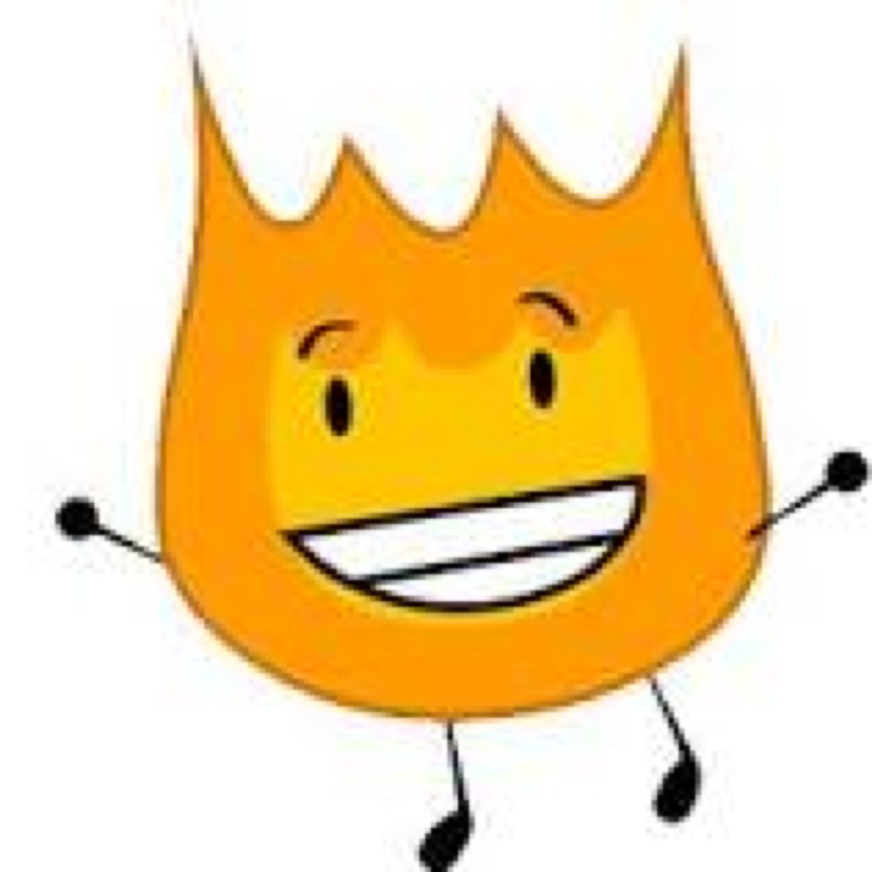 Firey from BFDI. I was in that show and I won it because I'm good.