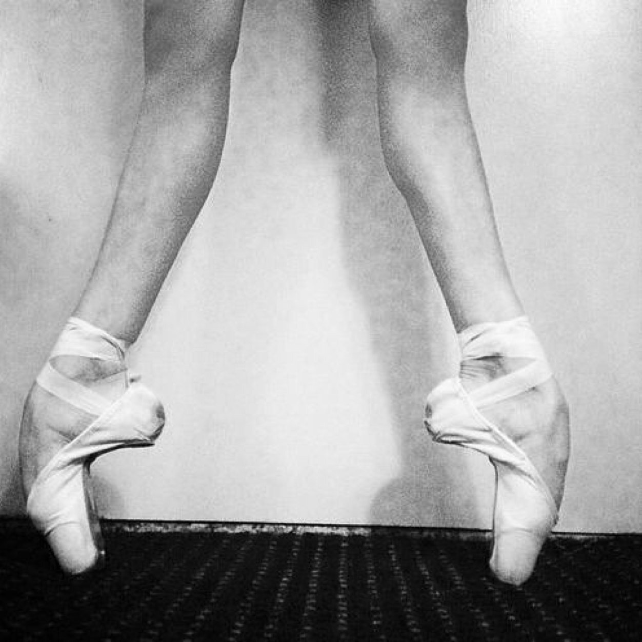 99Dancer's profile picture. dance is the hidden language of the soul