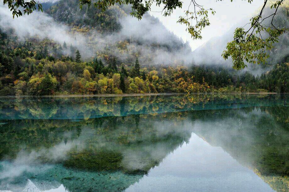 mwill80's profile picture. 