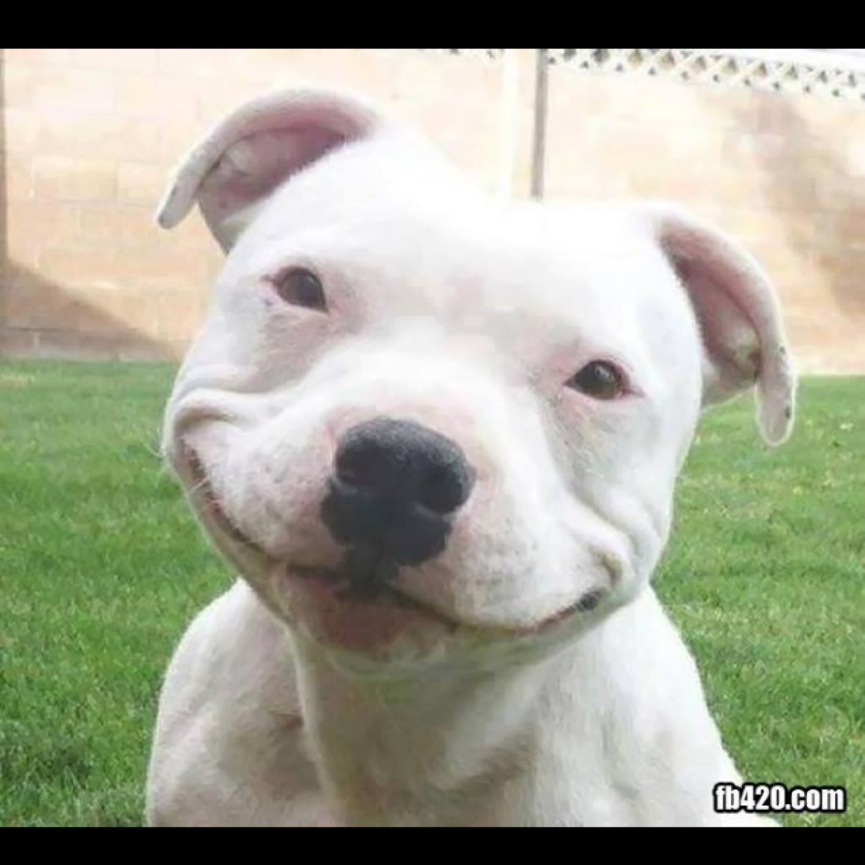 Lamoere's profile picture. WER IN DIE FUßSTAPFEN ANDERER TRITT, HINTERLÄSST SELBST KEINE SPUREN