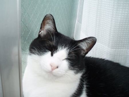 jiwajiwawaraeru's profile picture. じわじわと笑える会話や画像をお届けします！！相互フォロー、RT大歓迎です！！