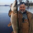 Dan Archambault - @fish5466 - Twitter