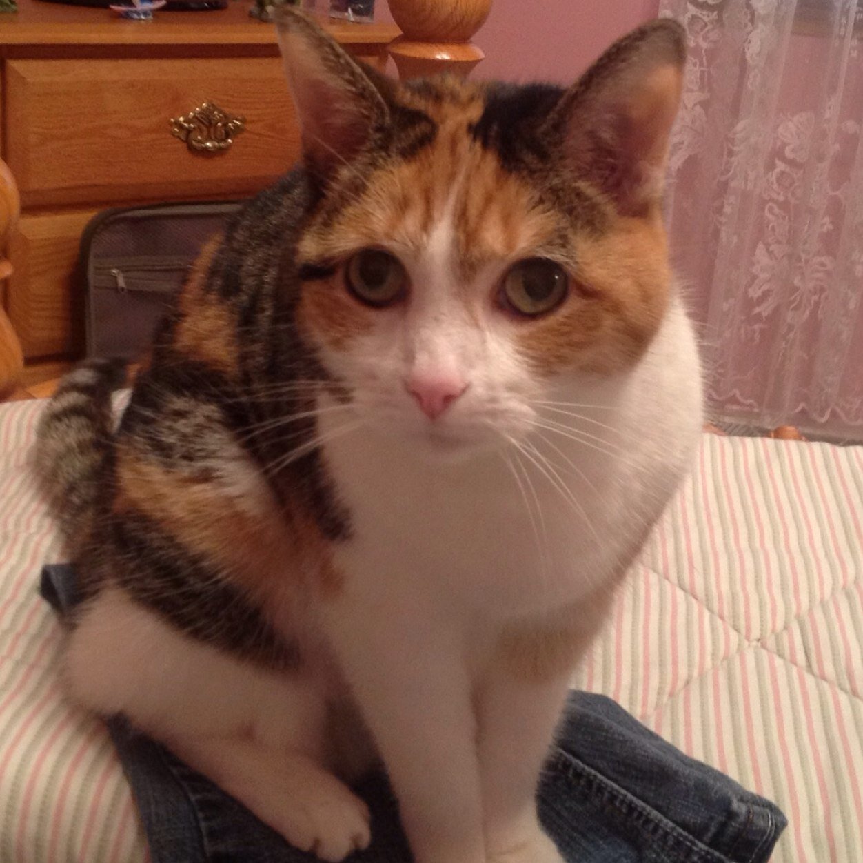 penguin0626's profile picture. 