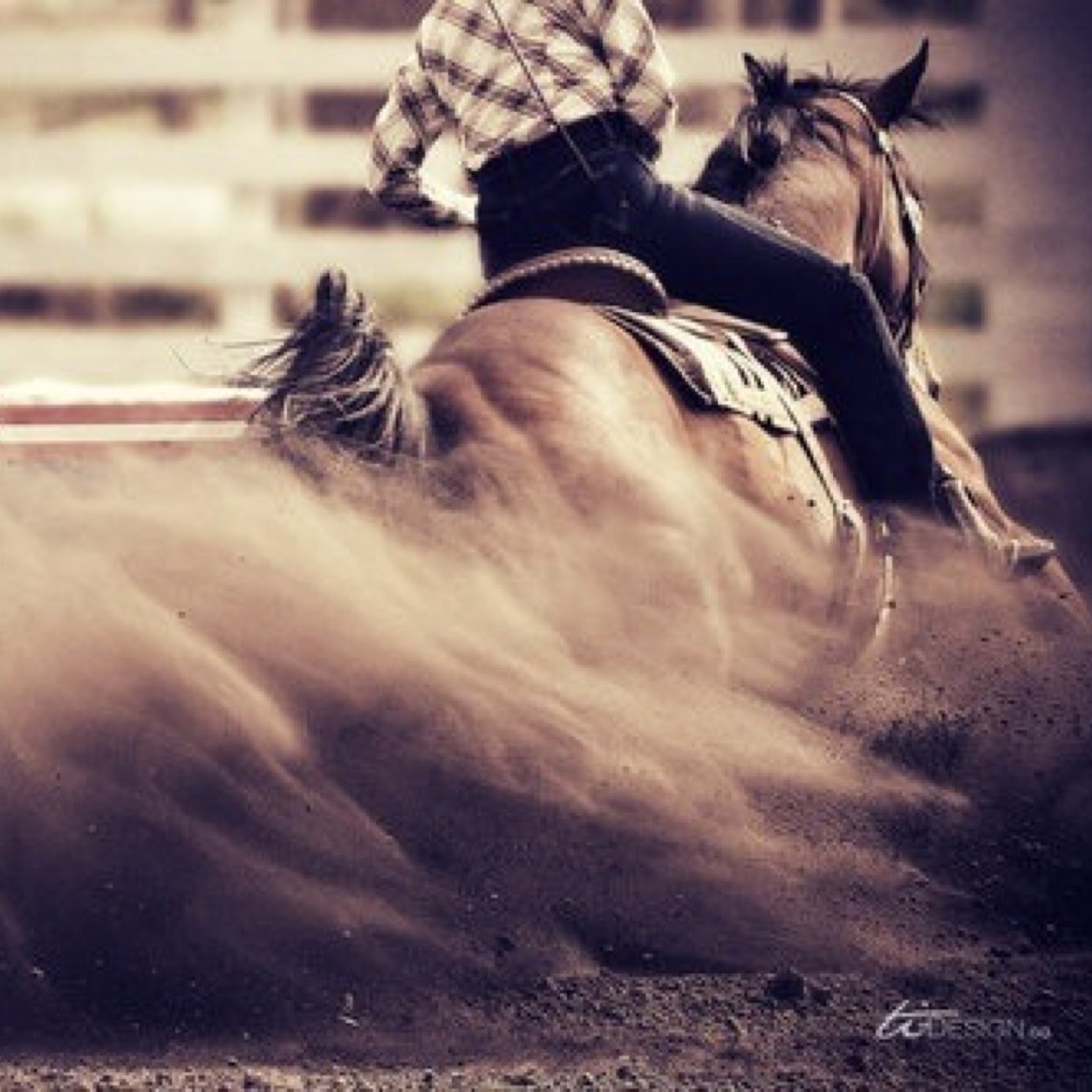 ~ We ride and never worry 'bout the fall, I guess that's just the cowboy in us all ~