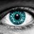 HDTwitHeaders's profile image