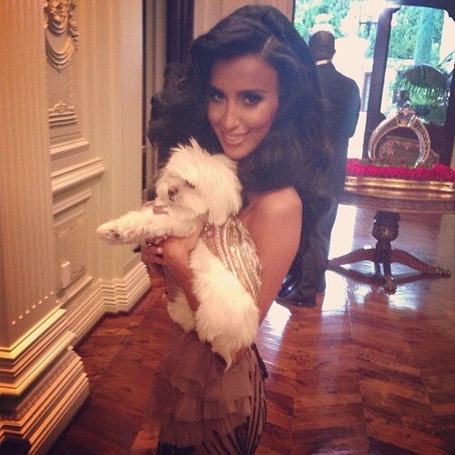 ChrystalFairlie's profile picture. Fast replies make me feel like you actually want to talk to me. But slow replies make me think you're talking to someone better.