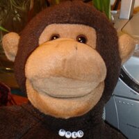 Fred Chimp (@fredchimp) 's Twitter Profile