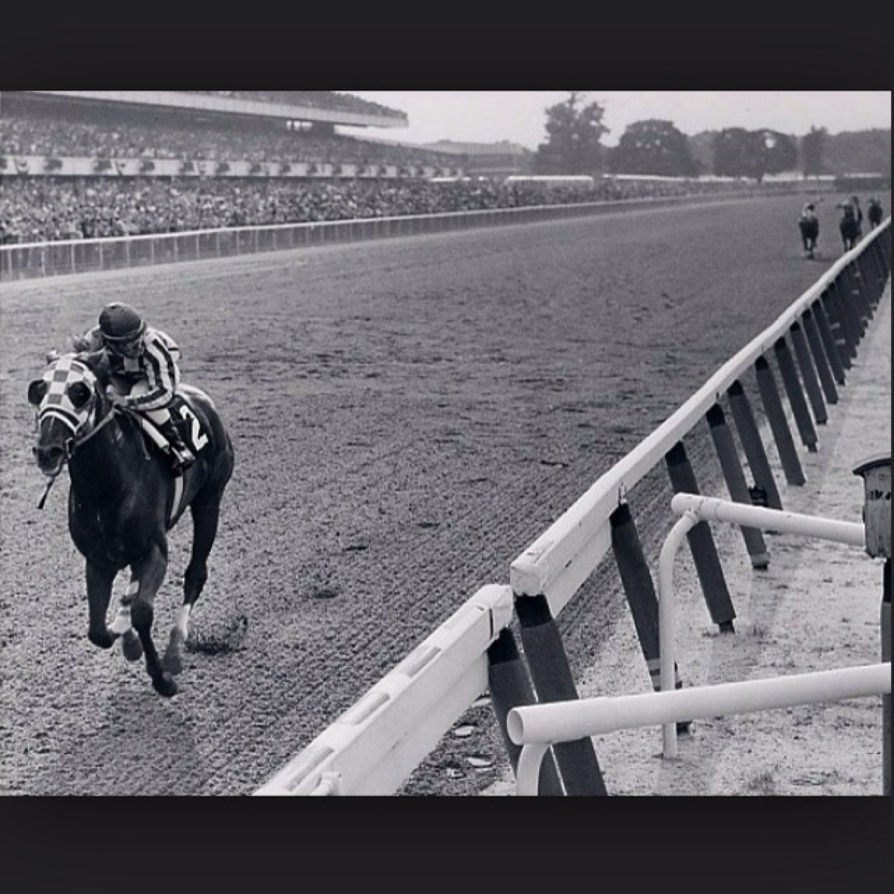 USAHorseRacing's profile picture. News & Insight, Pro Picks, Humor, and Thoughts ALL racing fans need to follow from the top tracks in America!