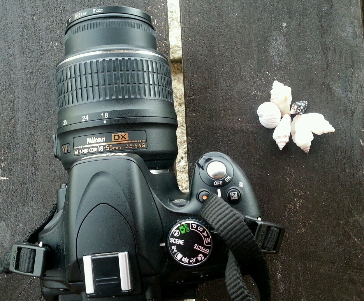 Bimbimbop's profile picture. You cannot change the people around you but you can change the people you choose to be around ♥