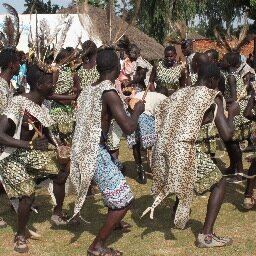 POcakacon's profile picture. 