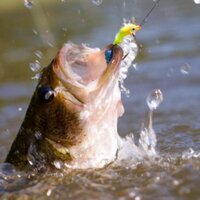 Southeastern Bass (@sbanglers) 's Twitter Profile