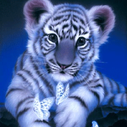 TYGER0902's profile picture. Survivor and TAR and The Challenge addict