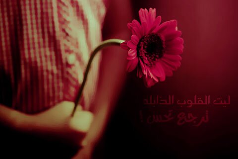 اللهم صل وسلم على نبينا محمد