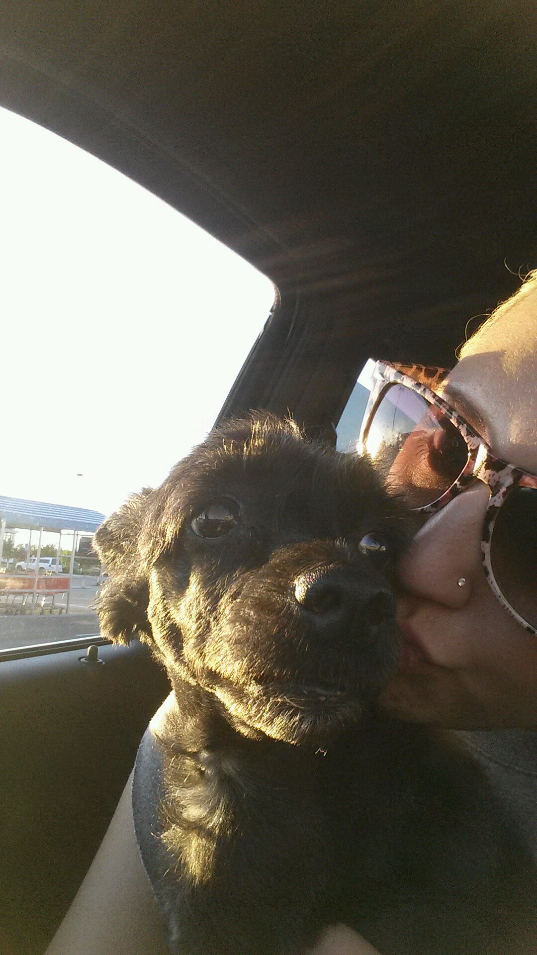 katrodak's profile picture. 