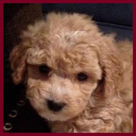 MBHuston's profile picture. 