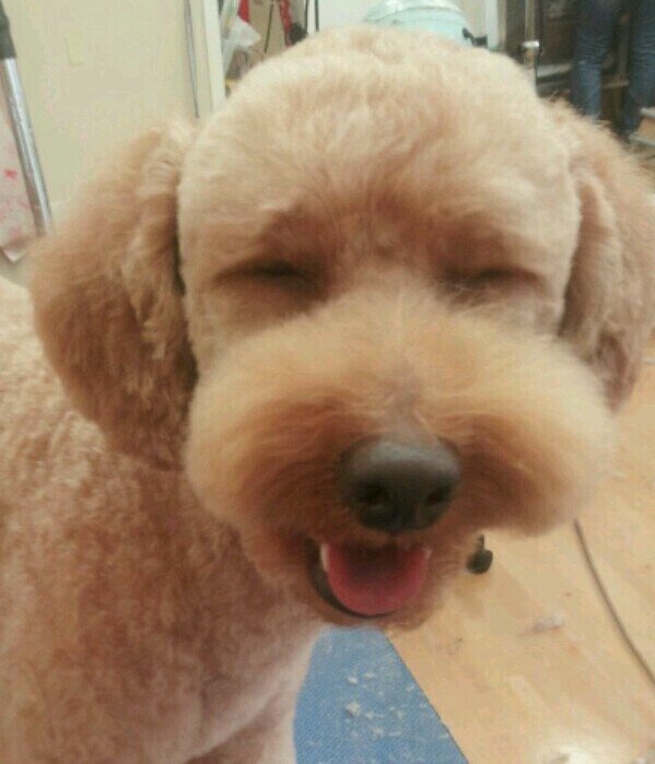 ERI_LEGORAS's profile picture. セレッソ大阪応援しています！ ギラヴァンツ北九州10番井上選手応援しています！