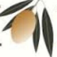 AEMODA (@_aemoda) 's Twitter Profile