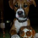 Ike Smith - @bluedogkc - Twitter