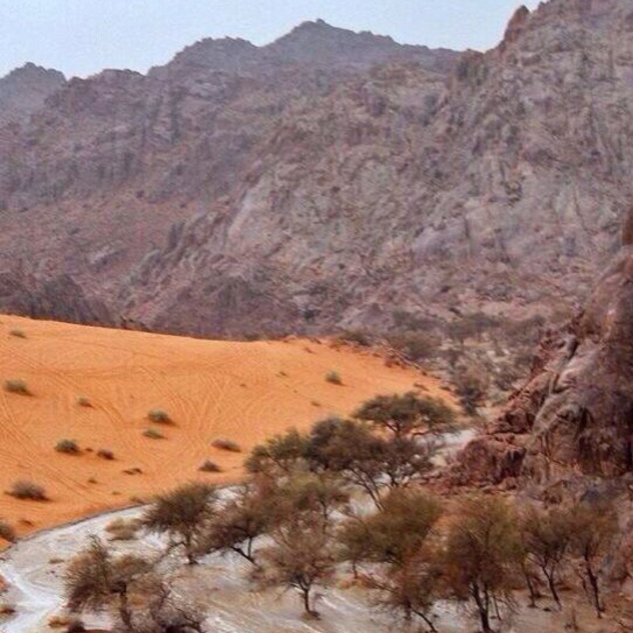 ٠٥٠٤٣٥٤٨٩٣ للاستفسار من الساعة ٩ ص الى ١٢ ظ ومن ٤ عصرا الى ١٠ مساء عدا اوقات الصلاة في حائل