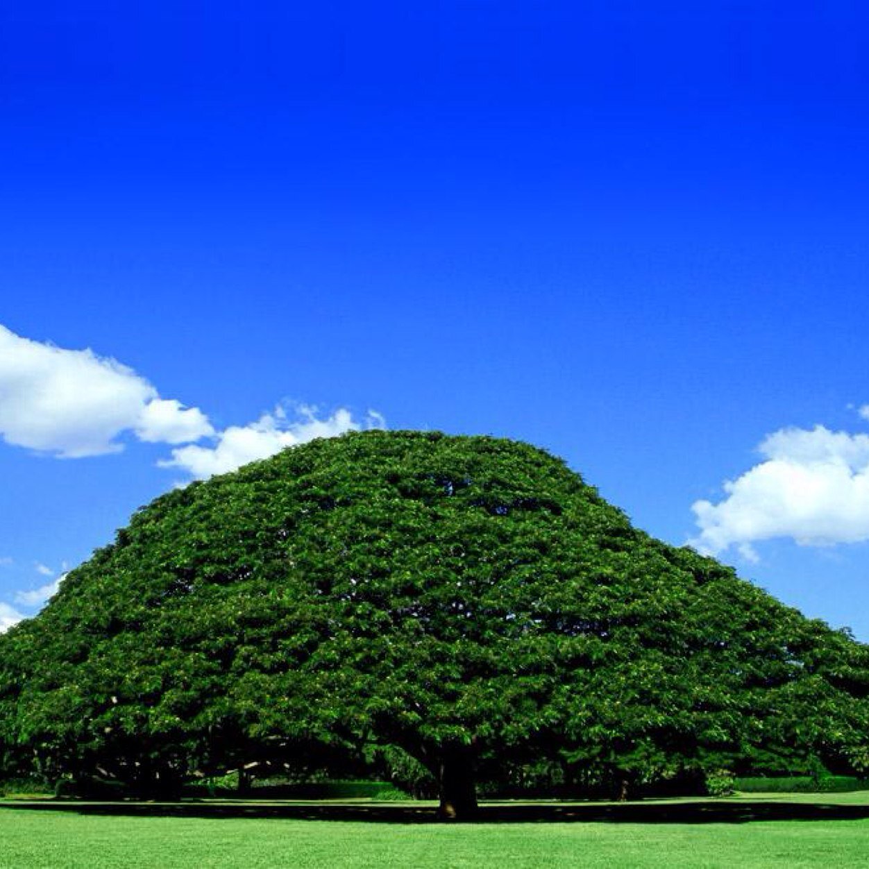 cpa_kk90's profile picture. ⚫︎東京の某国立大卒
⚫︎大原水道橋
⚫︎15年目標の会計士受験生
⚫︎H26Ⅰ•50.0%→H26Ⅱ•54.4%→H27Ⅰ•？%
⚫︎勝手にフォローごめんなさい

《今度こそは何が何でも短答突破！》