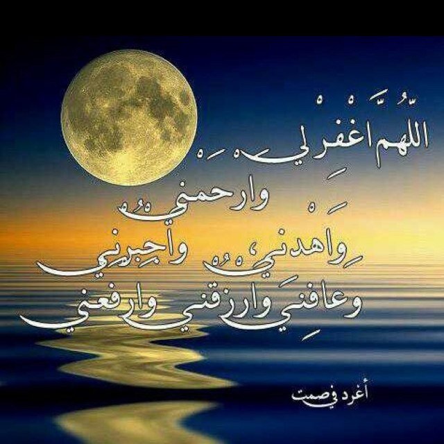 tmama538's profile picture.   كل الأشواق قاتله الا شوق الجنه ف إنه يُحيي أرواحنا من جديد ♥