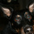 BatKarlchen's profile image