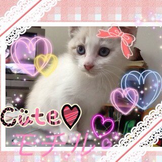 竹園一年です！
 フォローよろしくお願いしますー♪