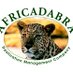 Africadabra Events (@africadabradmc) Twitter profile photo