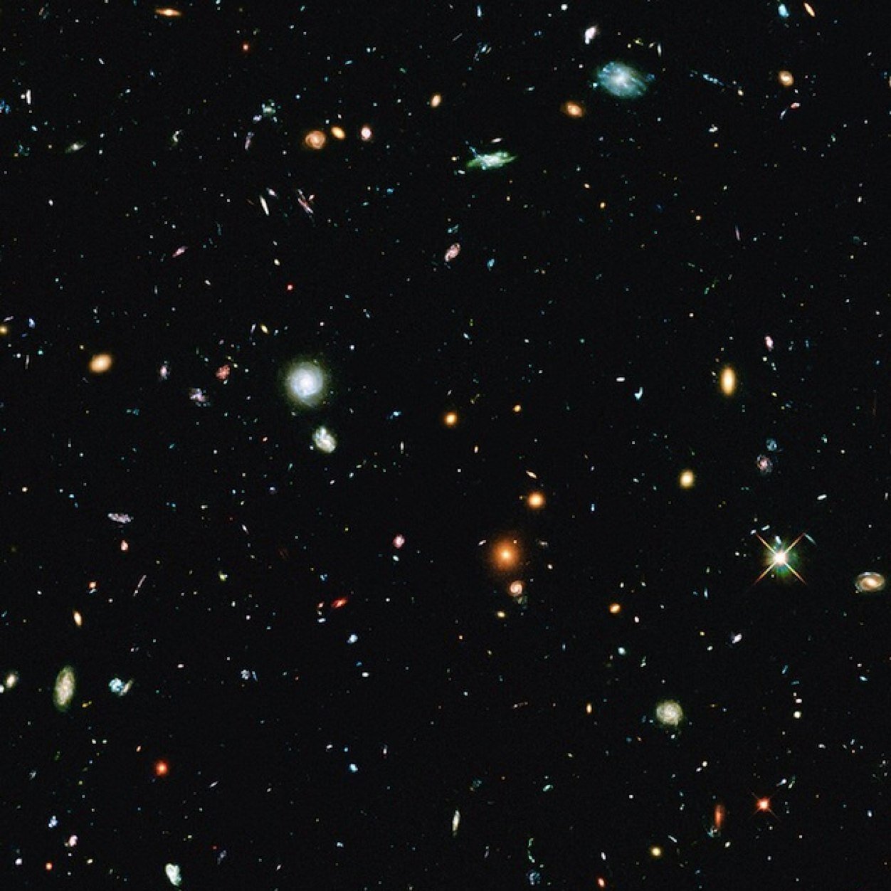 pom_pom_crab's profile picture. a man of sorts, part-time pug wrangler