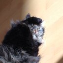 Michaela Koch - @koch_michaela - Twitter