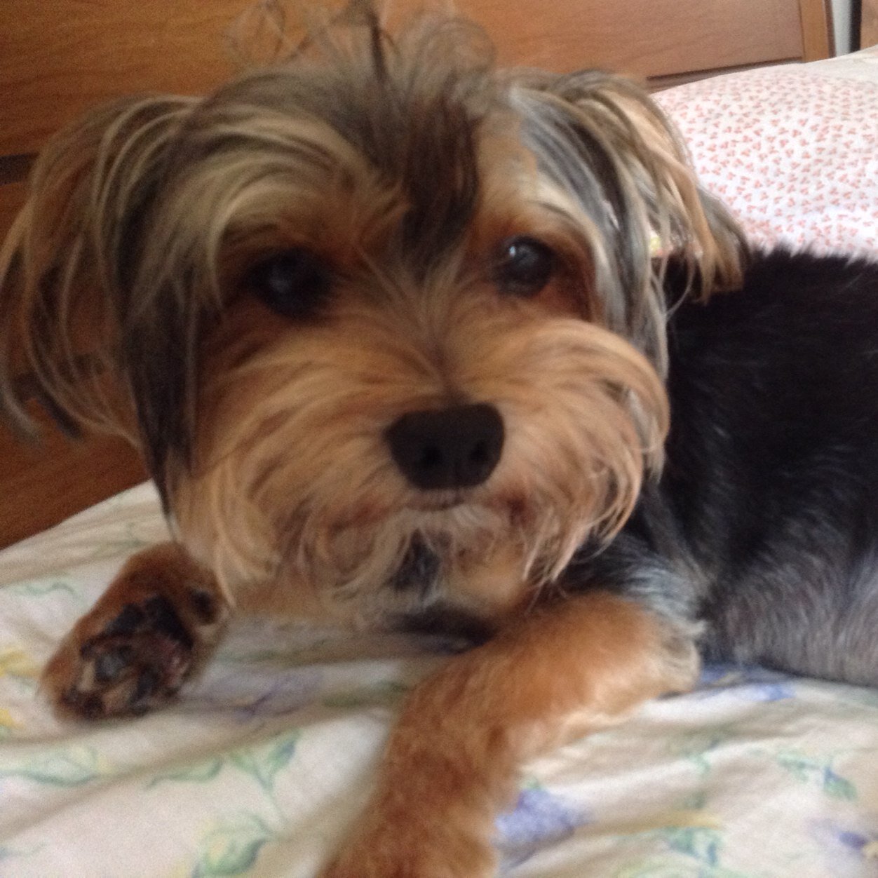 kakamarconi's profile picture. conservadora