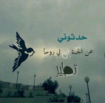 : ‏عَلى ضِفَآف آلجَنَة , إجعَل يَ ربِ لُقْيَآنَآ♡ ً