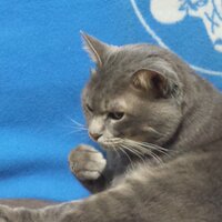 ヘタレライダー (@l_do_not_know) 's Twitter Profile