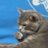 l_do_not_know's profile image