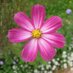 in Tonbridge (@intonbridge) Twitter profile photo in Tonbridge (@intonbridge) Twitter profile photo