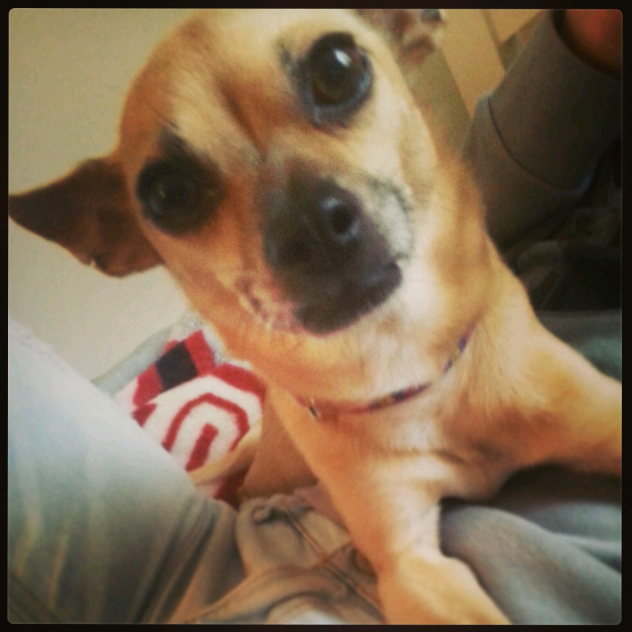 AshleyMerk's profile picture. 