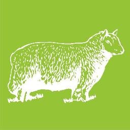 Raising the Baa 🐑🍃  Family run business in the heart of Southwell 🤍  Suppliers of ethical and sustainable merchandise ♻️   Need an 💡 we are here to help!