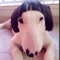 Aor  Alohaa (@aor_alohaa) 's Twitter Profile