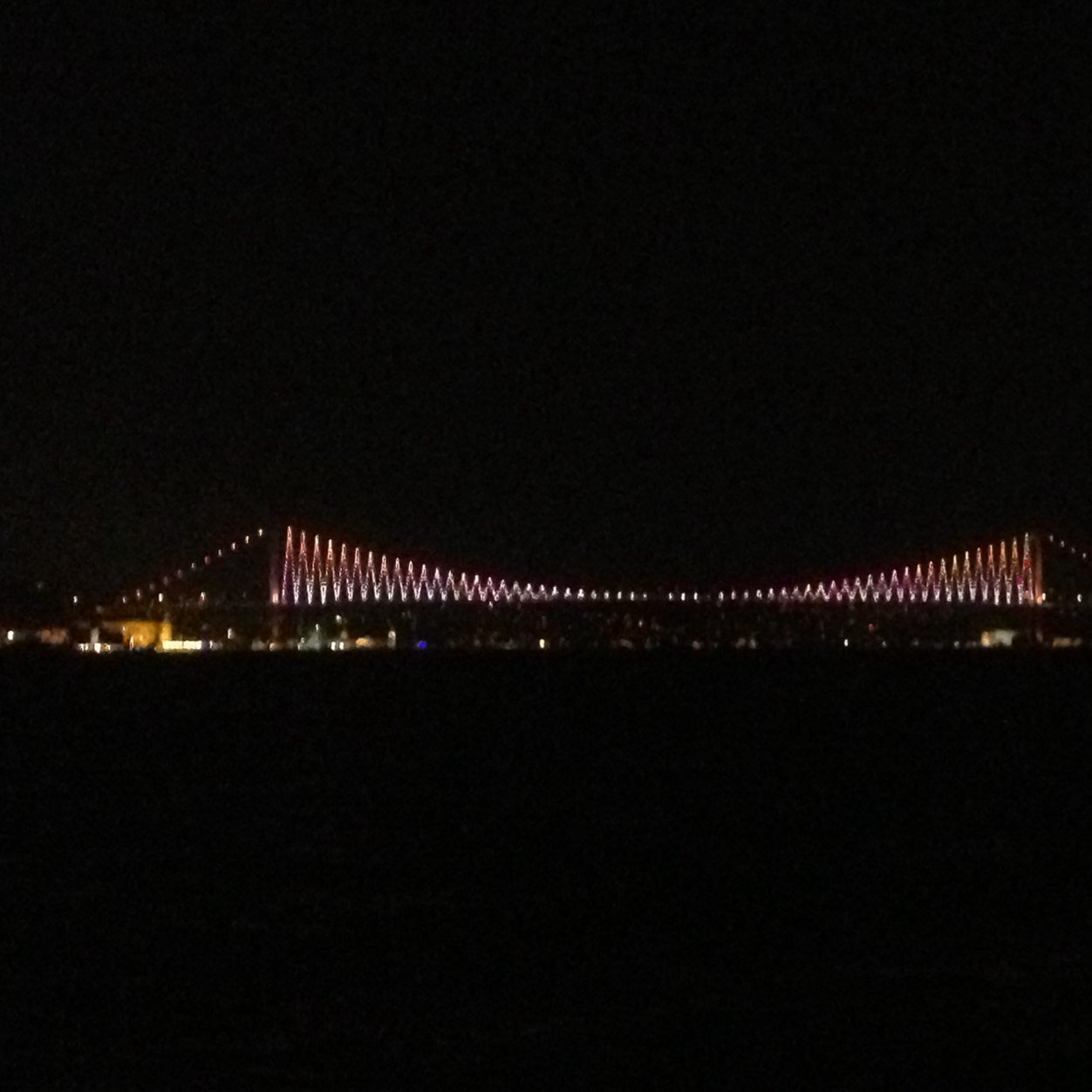 06Cankatman's profile picture. Ayılar ve ayı severler ilgi alanımdır.