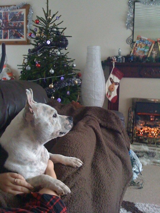 Skarmaw's profile picture. live everyday with the thought that when u get out of bed the devil hears your foot fall and thinks f*ck he's awake! Shiney!  mighty fine shindig!