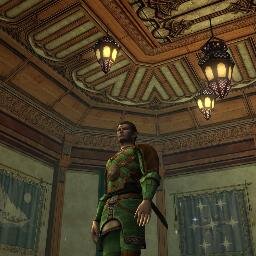 Amrondir Telrúnya of the Bruinen banks. Descendant of Elros the mortal. Ally of the marchwarden of Lothlorien. Protector of Rivendell #Laurelin #lotro #champion