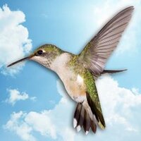 Taylorglaze (@taylorglazeltd) 's Twitter Profile