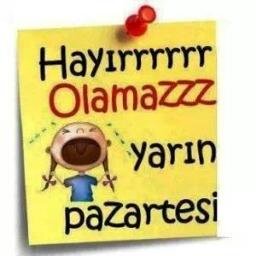YarnPazartesi's profile picture. 
