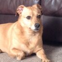 Debbie  Glover - @Kit2012 - Twitter