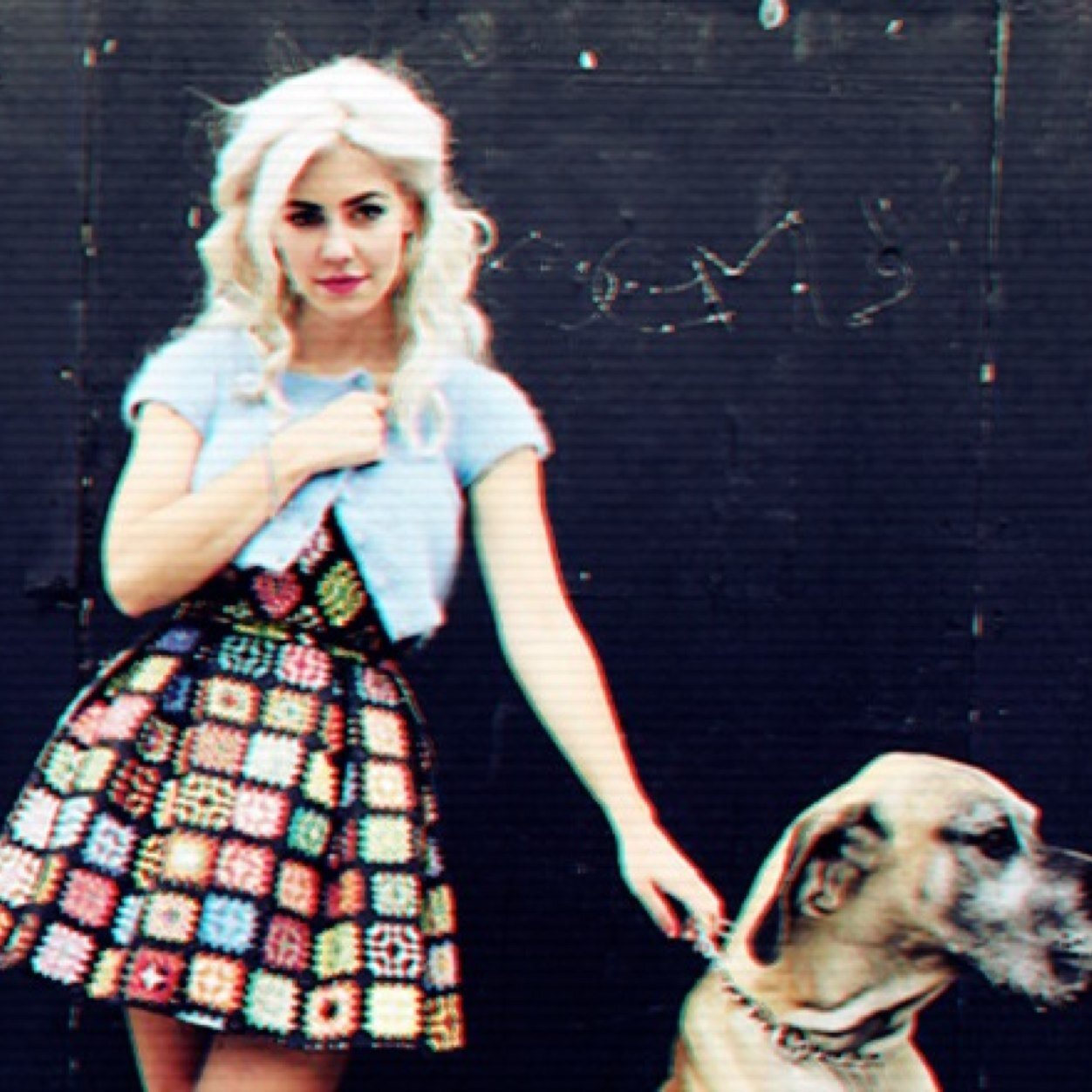 alwaysddlover's profile picture. marina diamandis one direction demi lovato