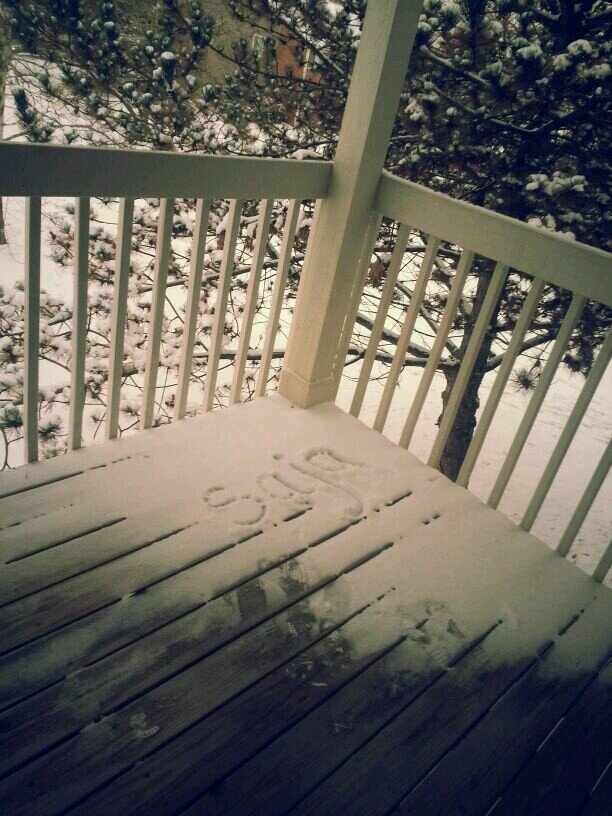 sajaalrajhi1's profile picture. Specialization: Insurance and risk management