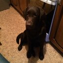 Ода Мэй - @may_oda - Twitter