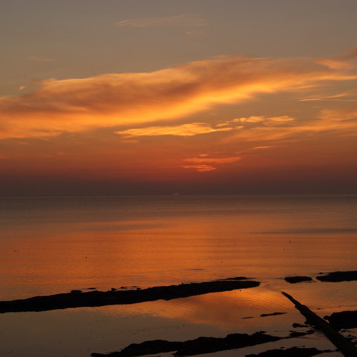 parvizxan82's profile picture. 