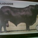 Henry andres henao p - @elpaisa_p - Twitter