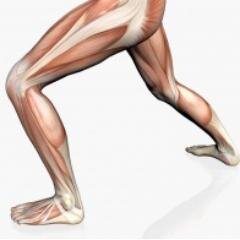 Médico Radiólogo con especialidad en ecografía musculoesquelética. Diagnóstico por imagen de lesiones deportivas.